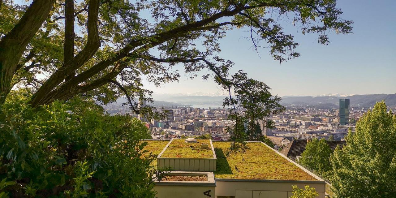 Helvetia 2 Zimmer Apartment Mit Parkplatz Zürich Kültér fotó